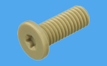Zylinderschraube mit TORX und extrem flachem Kopf aus PEEK
